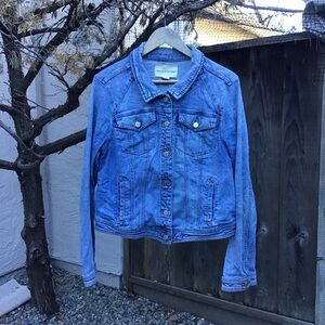 Pilcro And The Letterpress Denim Trucker Jacket Womens XL Stretch Classic Button